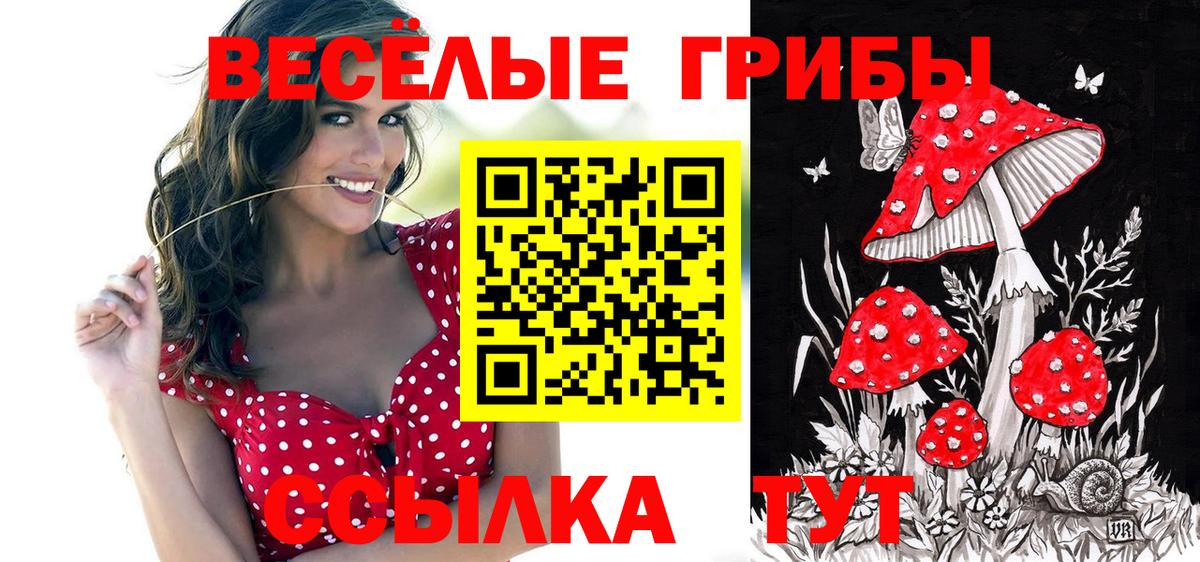 Нурлат  Галлюциногенные грибы GOLDEN TEACHER  Вход с VPN  Псилоцибиновые грибы Psilocybe 