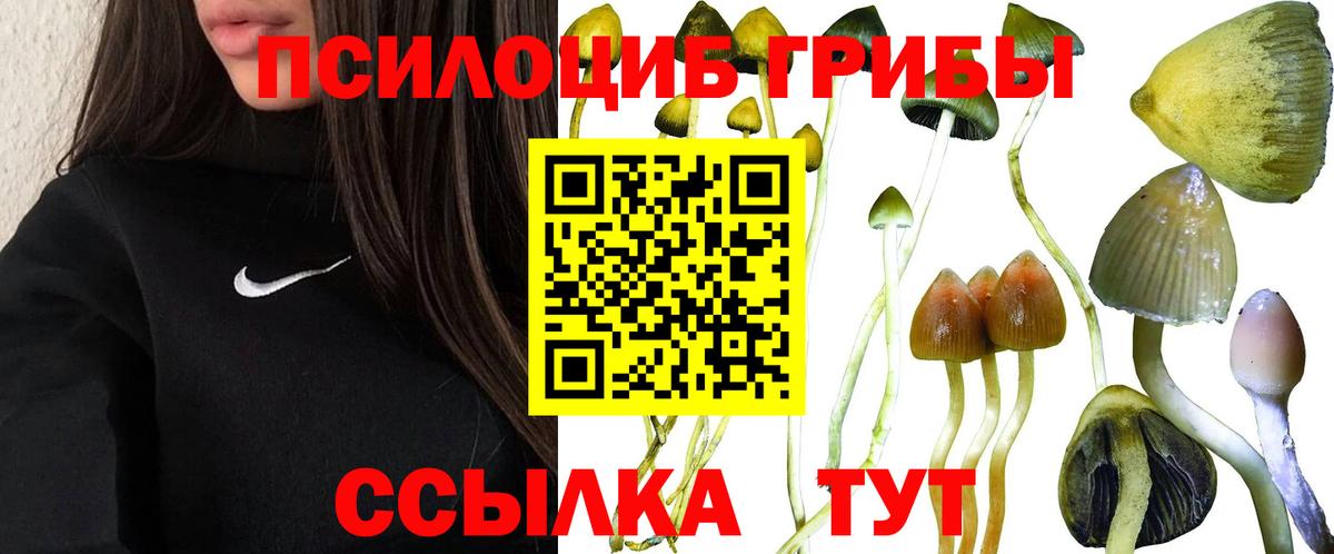 Галлюциногенные грибы прущие грибы Нурлат